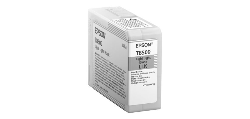 Epson Singlepack Light Light Black T850900