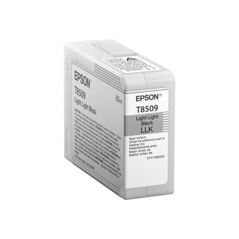 Epson Singlepack Light Light Black T850900