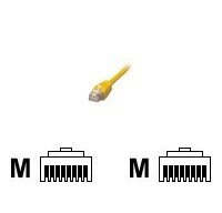 MCL 0.5m Cat6 U/UTP câble de réseau Jaune 0,5 m U/UTP (UTP) Rond