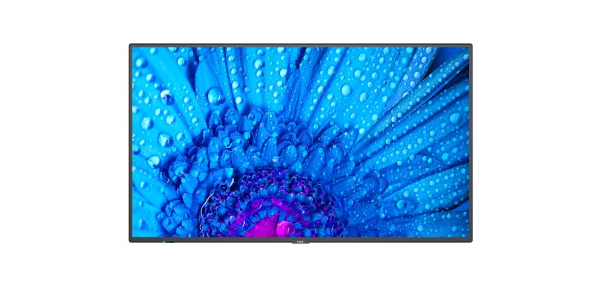 NEC MultiSync M651 Écran plat de signalisation numérique 165,1 cm (65") IPS 500 cd/m² 4K Ultra HD Noir 24/7