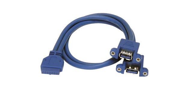 StarTech.com Câble USB 3.0 (5Gbps) 2 ports monté sur panneau – Câble USB A vers adaptateur carte mère F/F