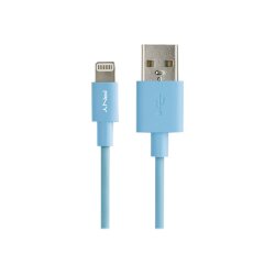 Câble USB 2.0 vers Lightning 1,20M BL C-UA-LN-B01-04