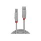 Lindy 36682 câble USB USB 2.0 1 m USB A USB B Gris