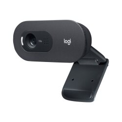 Logitech C505 HD Webcam