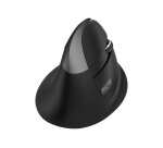 Urban Factory ERGO PRO - souris - vertical - 2.4 GHz, Bluetooth 5.0 - noir-droitier