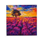 Kit tableau broderie diamant sans marque 30x30cm coloris lavande