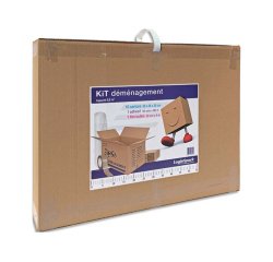 Kit de demenagement comprenant 10 caisses dim 550 x 350 x 300 mm et 1 rouleau de ruban adhesif 50 mm x 66 m