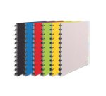 Protège-documents esselte polypropylène vivida 25 pochettes amovibles 264x310x21mm coloris assortis translucide