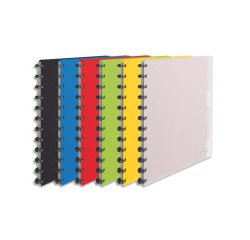 Protège-documents esselte polypropylène vivida 25 pochettes amovibles 264x310x21mm coloris assortis translucide