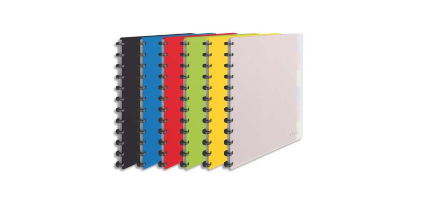 Protège-documents esselte polypropylène vivida 25 pochettes amovibles 264x310x21mm coloris assortis translucide