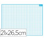 Ardoise bouchut grandrémy effaçable sec 1 face quadrillage 1 face séyès médium rigide format 21x26,5cm