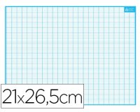 Ardoise bouchut grandrémy effaçable sec 1 face quadrillage 1 face séyès médium rigide format 21x26,5cm