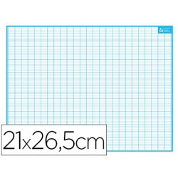 Ardoise bouchut grandrémy effaçable sec 1 face quadrillage 1 face séyès médium rigide format 21x26,5cm