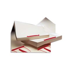 Boite de 50 attaches rapides d'archivage capiclass