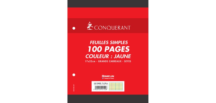 Feuillet mobile conquérant a5+ 170x220mm 100 pages 80g séyès perforé coloris jaune