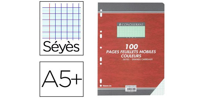 Feuillet mobile conquérant a5+ 170x220mm 100 pages 80g séyès perforé coloris vert