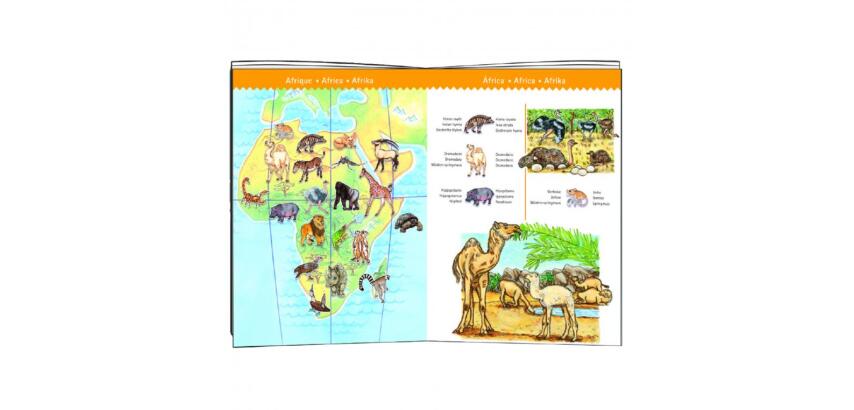 Puzzle interdacta animaux du monde 100 pieces 61x35cm + 1  livret + 1 poster