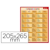 Fiche mémo bouchut carton souple pelliculé 25g conjugaisons homonymes courants impression recto/verso 20,5x26,5cm