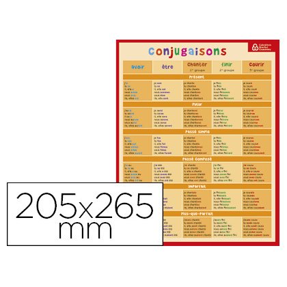 Fiche mémo bouchut carton souple pelliculé 25g conjugaisons homonymes courants impression recto/verso 20,5x26,5cm