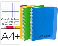 Cahier Conquerant classique integrale 240x320 100p 90g seyes polypro assorti