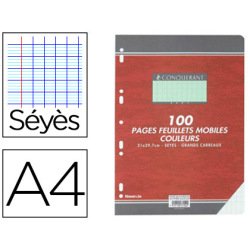 Feuillets mobiles 100 pages, seyès, vert