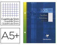 Feuillets mobiles sous étui 17x22 cm 100 pages perforées 2 trous petits carreaux