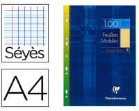 Feuillets mobiles de couleur sous étui A4 100 pages perforées grands carreaux