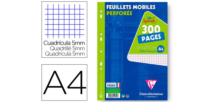 Feuillets mobiles sous film A4 300 pages perforées petits carreaux