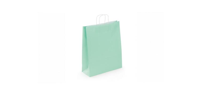 Sac kraft 100g/m2 poignees torsadees 35x14x40cm paquet   50 unites coloris vert eau