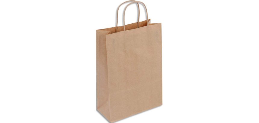 Sac kraft 90g/m2 poignees torsadees 22x10x31cm paquet   50 unites coloris brun