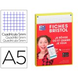 Fiches oxford bristol revision 2.0 oxford a5        perforee 32 fiches/film q5x5  cadre jaune