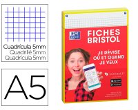 Fiches oxford bristol revision 2.0 oxford a5        perforee 32 fiches/film q5x5  cadre jaune