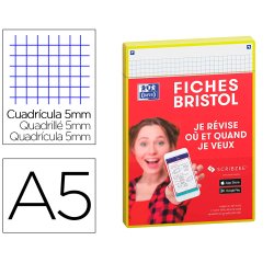 Fiches oxford bristol revision 2.0 oxford a5        perforee 32 fiches/film q5x5  cadre jaune