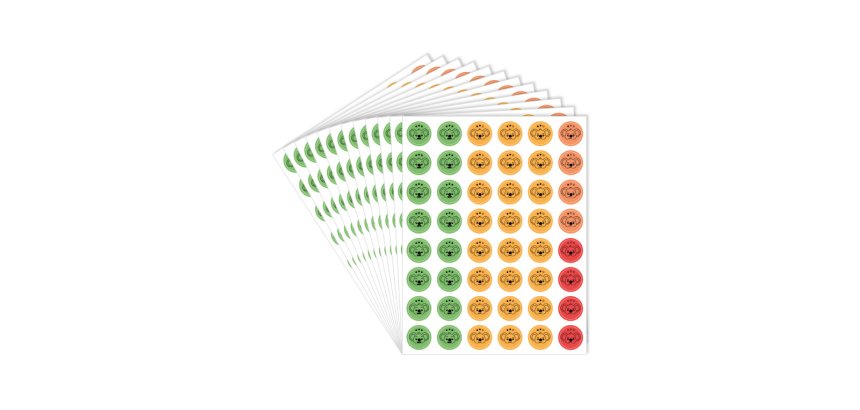 Pack de 576 gommettes sodertex  17 x 22 cm - 12     planches - coloris assortis