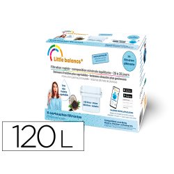 Pack de 6 cartouches filtrantes 120l. chlore 100   l. calcaire