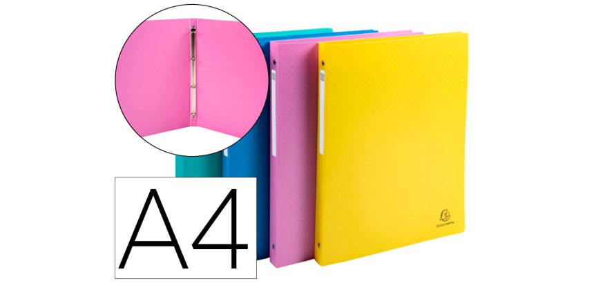 Classeur 4 anneaux exacompta forever young polypropylene   a4 4/15mm assortiment