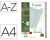 Intercalaires imprimes alphabetiques exacompta       polypropylene a4 20positiones a-z gris