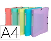Boite de classement exacompta gamme chromaline pastel       polypropylene a4 240x320mm    dos 40mm.