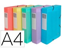 Boite de classement exacompta gamme chromaline pastel       polypropylene a4 240x320mm    dos 60mm.