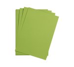 Maya paquet 25F 50x70cm 270g - Vert mousse