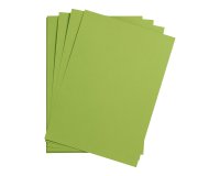 Maya paquet 25F 50x70cm 270g - Vert mousse