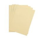 Maya paquet 25F 50x70cm 270g - Chamois