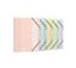 Trieur oxford a4 12 positions pp coloris assortis pastel    opaque lot 12 unites