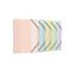 Trieur oxford a4 12 positions pp coloris assortis pastel    opaque lot 12 unites