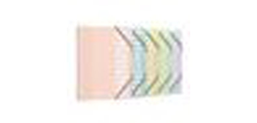 Trieur oxford a4 12 positions pp coloris assortis pastel    opaque lot 12 unites