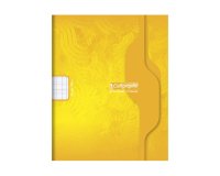 Cahier piqure clairefontaine 7000 couverture souple pp     21x29,7cm 96p seyes 70g       coloris jaune