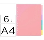 Intercalaires viquel rainbow pastel pp a4 maxi 6 positions 11 trous coloris assortis