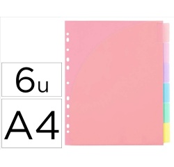 Intercalaires viquel rainbow pastel pp a4 maxi 6 positions 11 trous coloris assortis