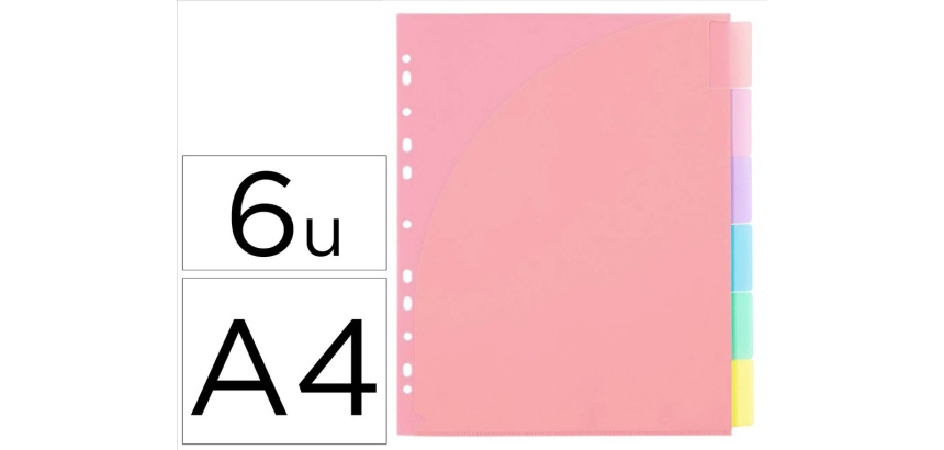 Intercalaires viquel rainbow pastel pp a4 maxi 6 positions 11 trous coloris assortis