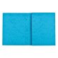 Bleu turquoise